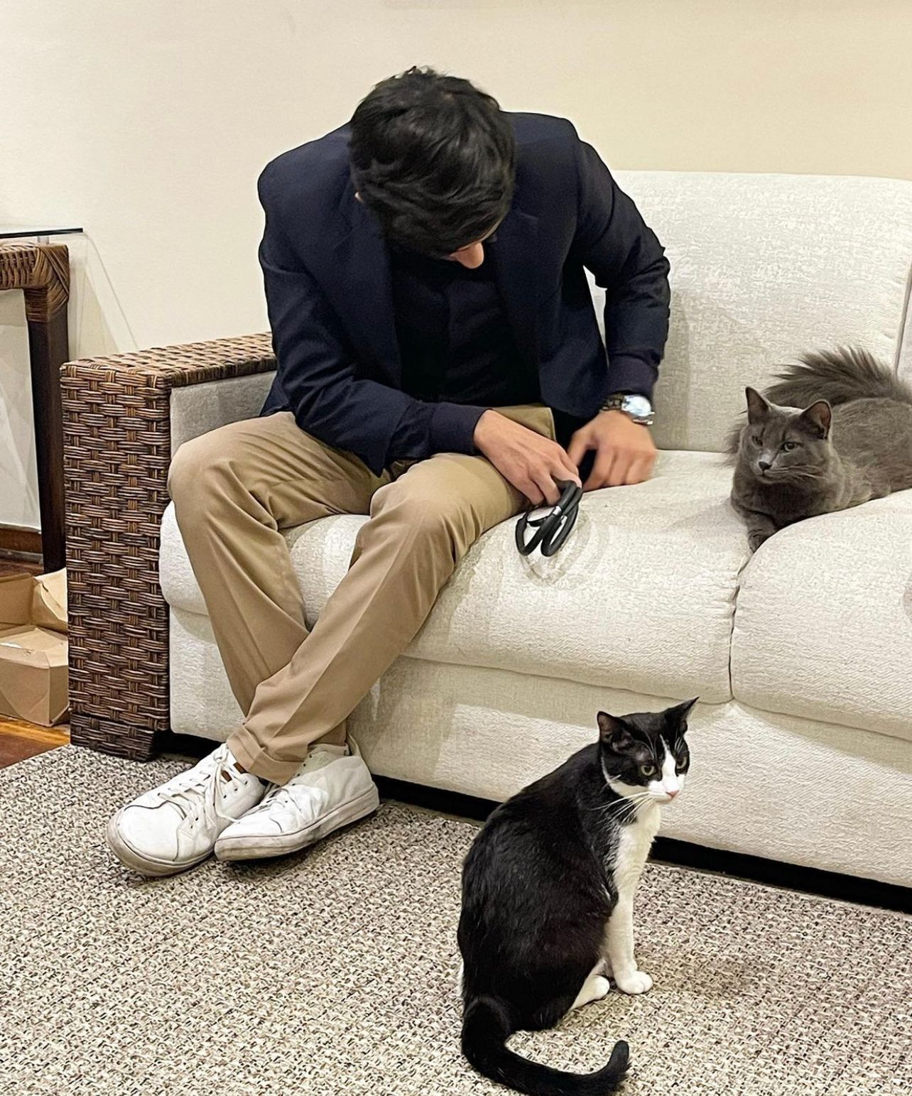 Gato atendido em casa pelo Dr. Pedro Filetti