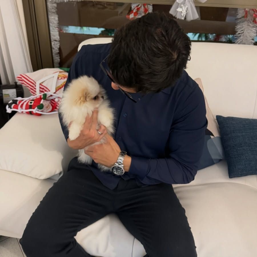 Spitz atendido em domicílio pelo Dr. Pedro Filetti